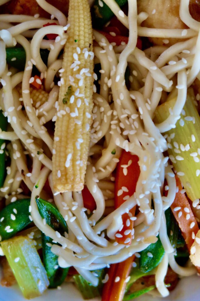 Teriyaki Chicken Noodle Bowl: Chicken tenderloins with Stir fry style vegetables, sauteed with a touch of garlic then steamed in our homemade soy & teriyaki ginger sauce, Tossed with tender Udon noodles & sprinkled with sesame seeds.